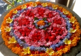 09-01-6-IMG_0132